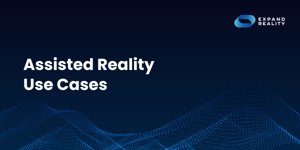 Assisted Reality Use Cases