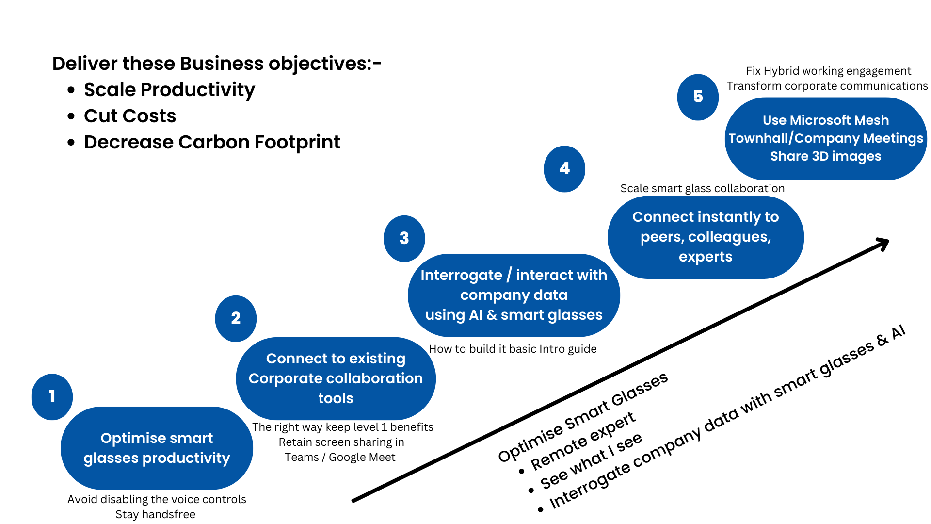 Optimise Smart Glasses 