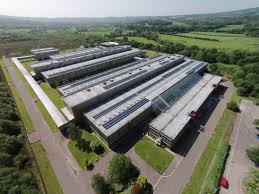 renishaw plant 